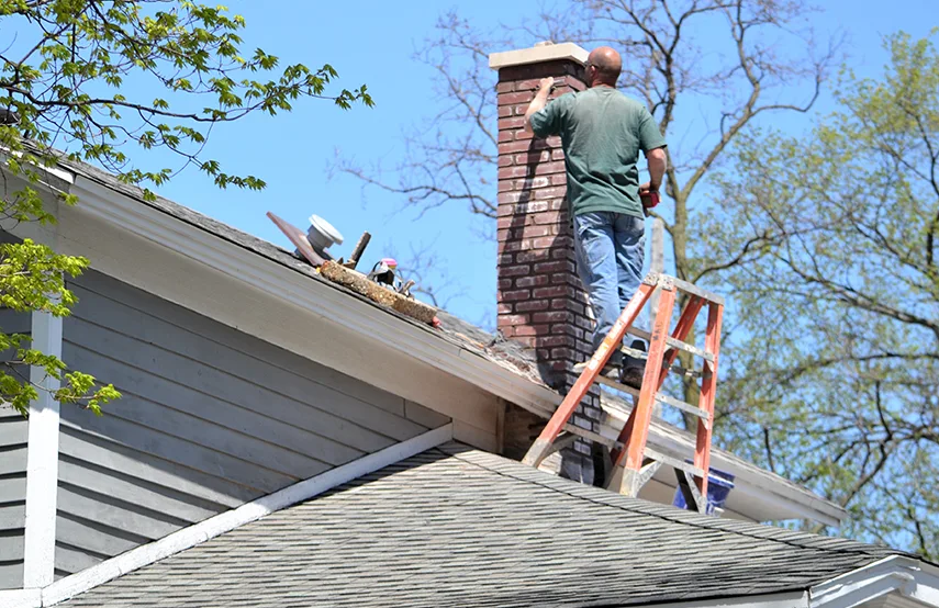 Chimney & Fireplace Inspections Services in La Mesa, CA